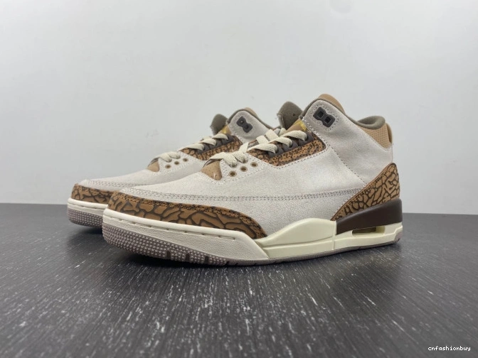 Palomino Air 3 Jordan CT8532-102 0708